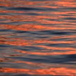 Summer Philosophy about Acting